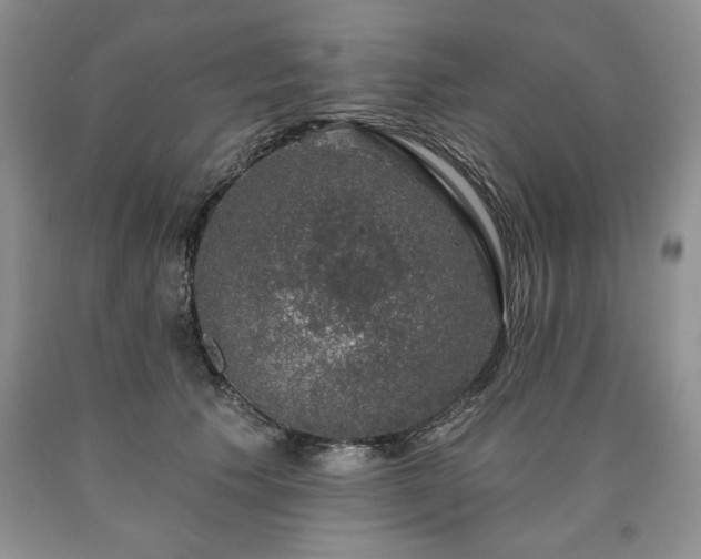 X0000090440609200707201254