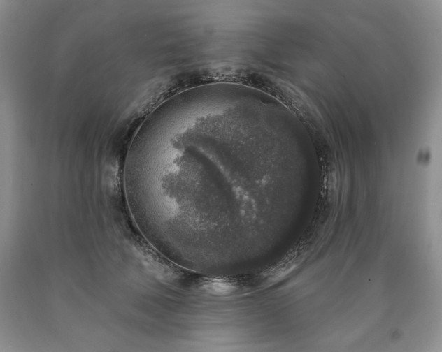 X0000090440610200707201254