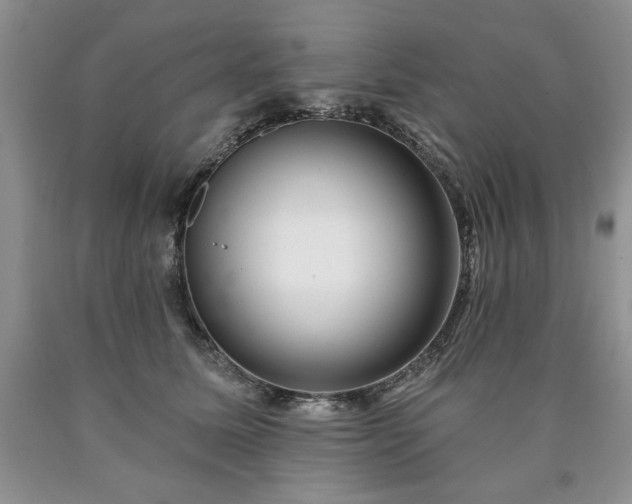 X0000090440611200707201254