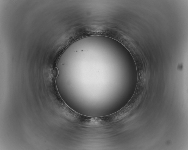 X0000090440612200707201254