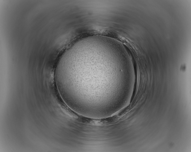 X0000090440613200707201254