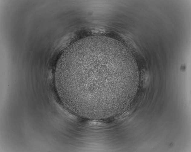 X0000090440614200707201254