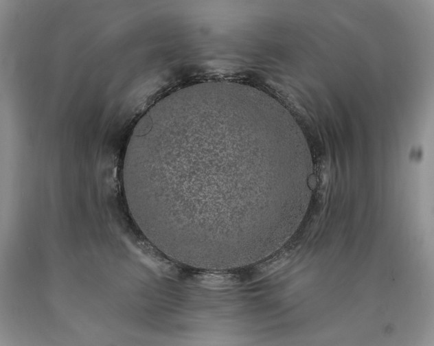 X0000090440615200707201254