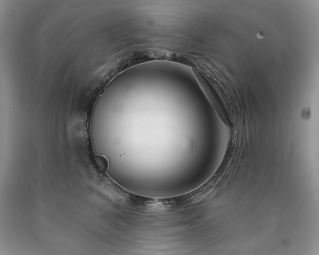 X0000090440616200707201254