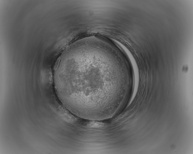 X0000090440617200707201254