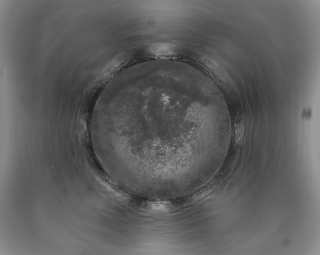 X0000090440618200707201254