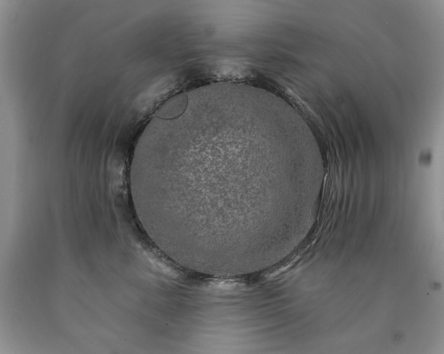 X0000090440619200707201254