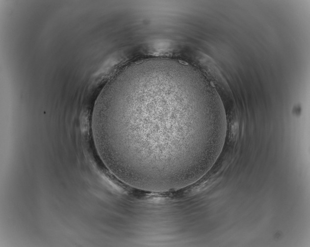 X0000090440620200707201254