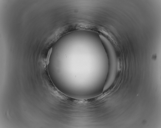 X0000090440621200707201254