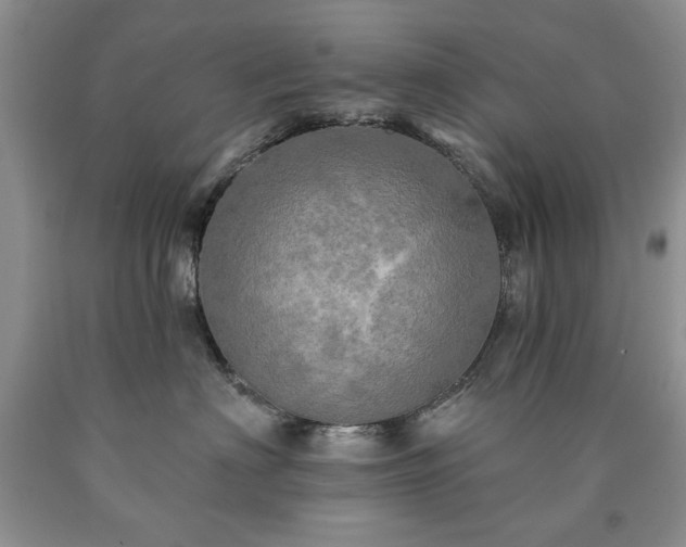 X0000090440622200707201254