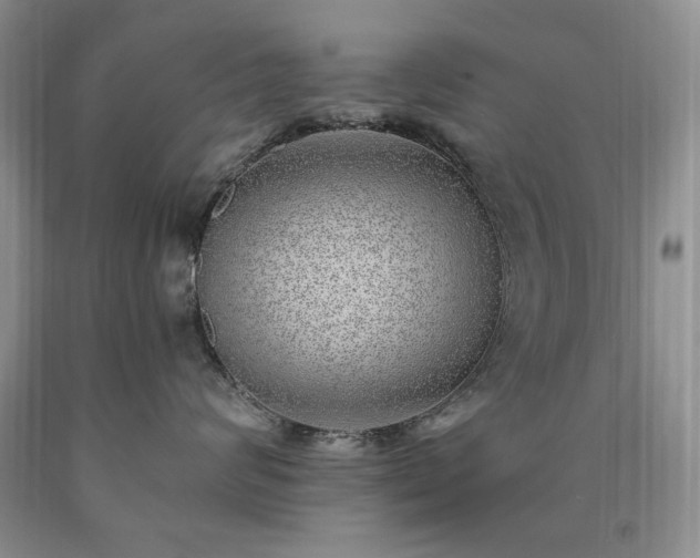 X0000090440624200707201254