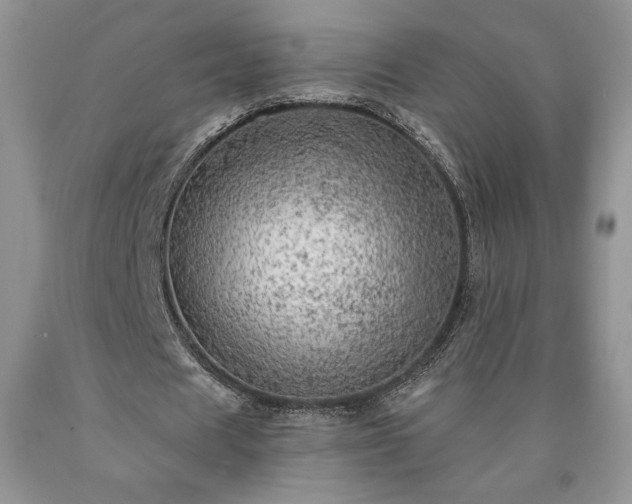 X0000090440625200707201253