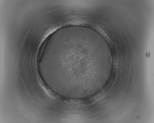 X0000090440626200707201254