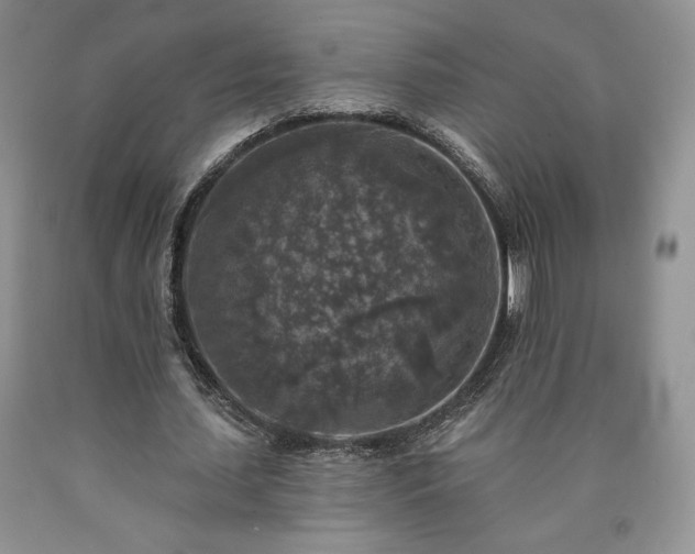 X0000090440627200707201254