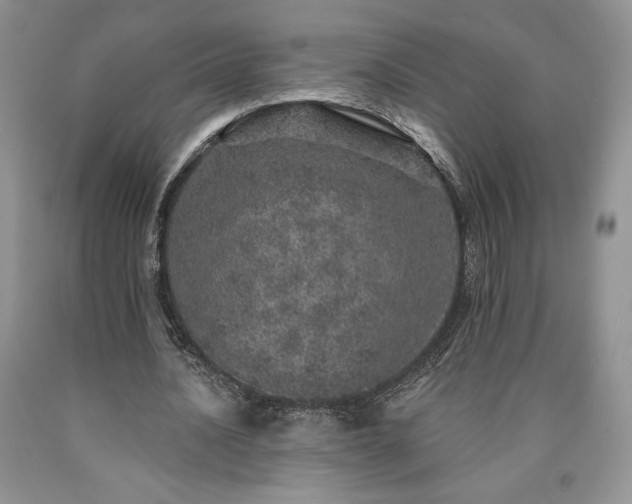 X0000090440628200707201254