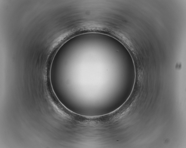 X0000090440629200707201254