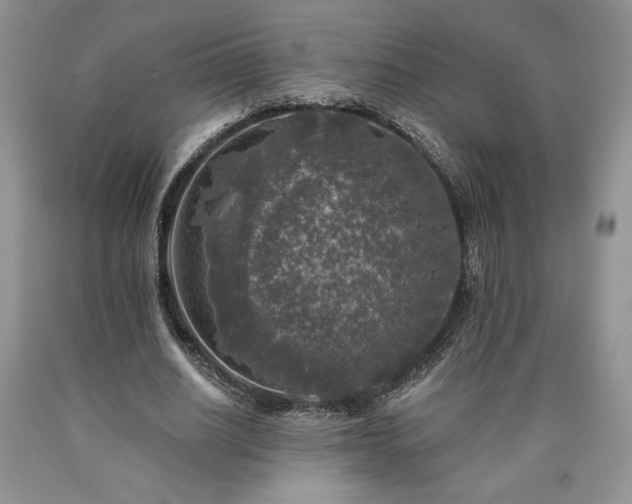 X0000090440630200707201254