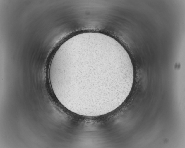 X0000090440632200707201254