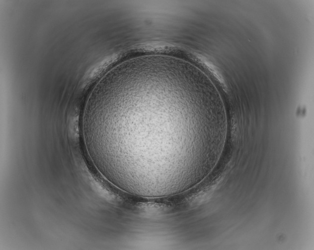 X0000090440633200707201254