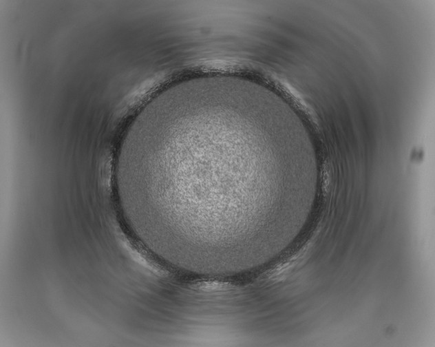 X0000090440637200707201254