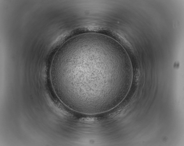 X0000090440639200707201254