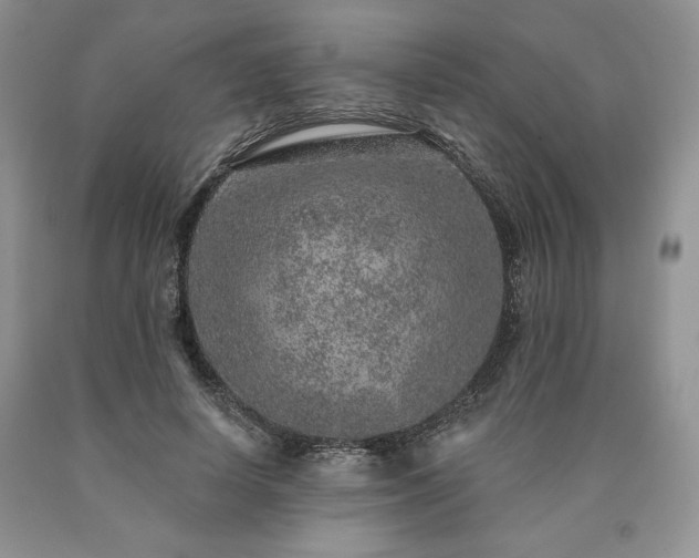 X0000090440642200707201254