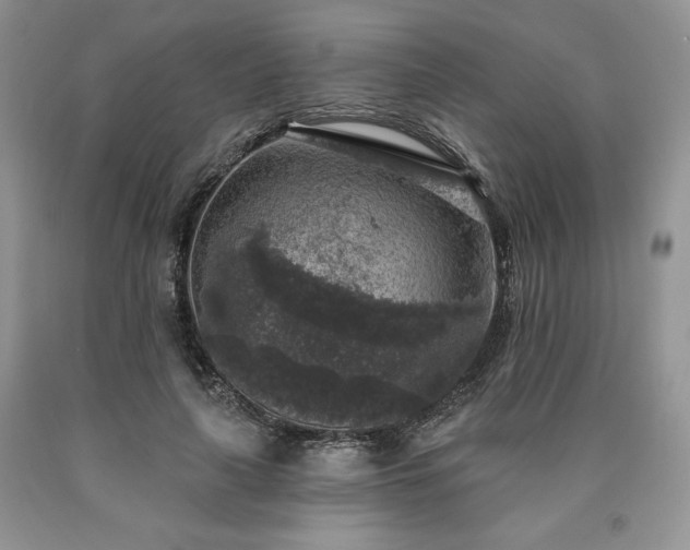 X0000090440643200707201254