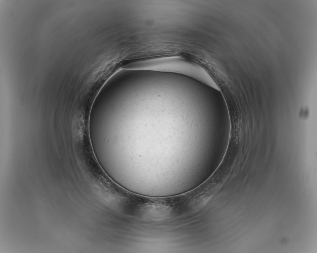 X0000090440644200707201254