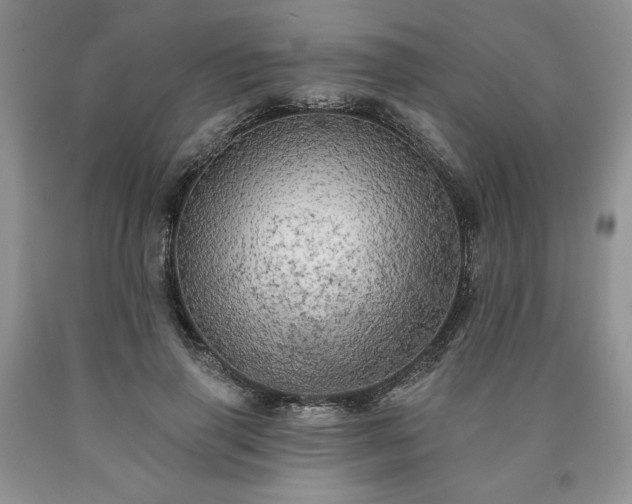 X0000090440645200707201254