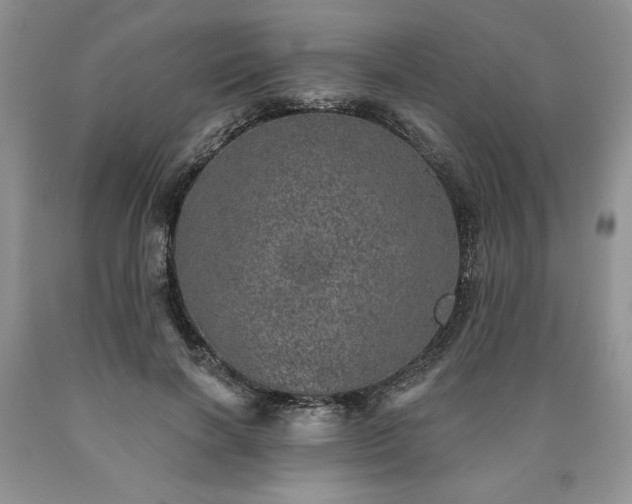 X0000090440646200707201254