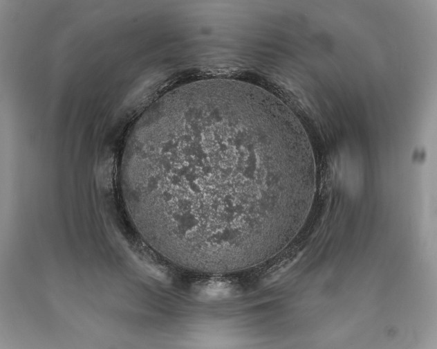 X0000090440647200707201254