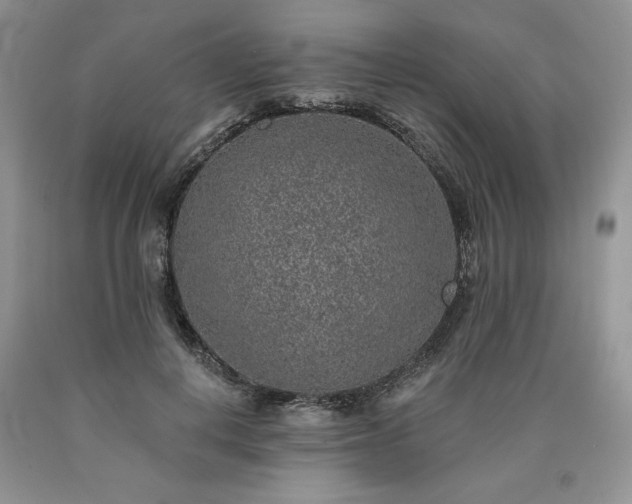 X0000090440648200707201254