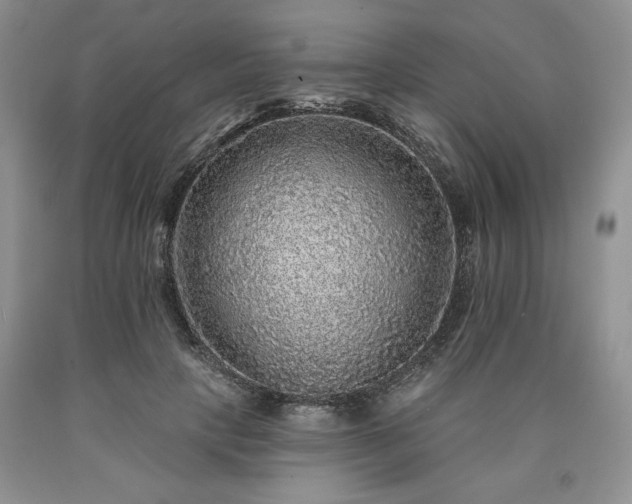 X0000090440649200707201254