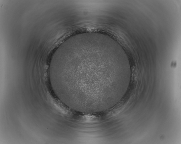 X0000090440650200707201254