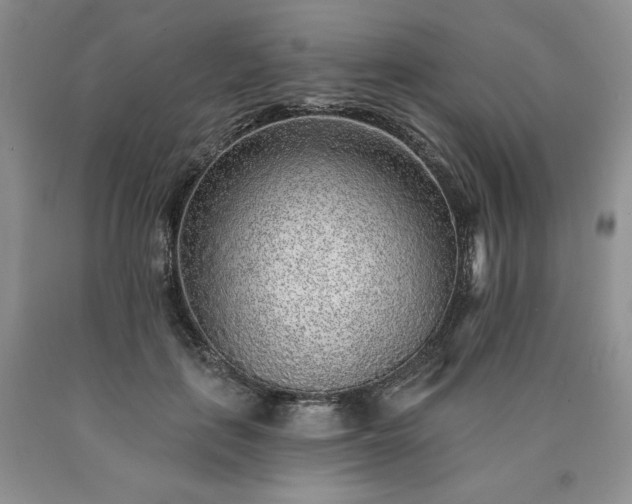 X0000090440651200707201254