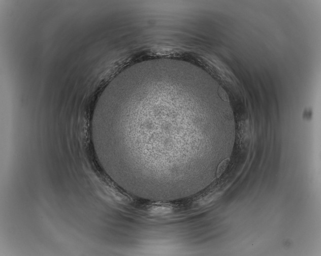 X0000090440653200707201254