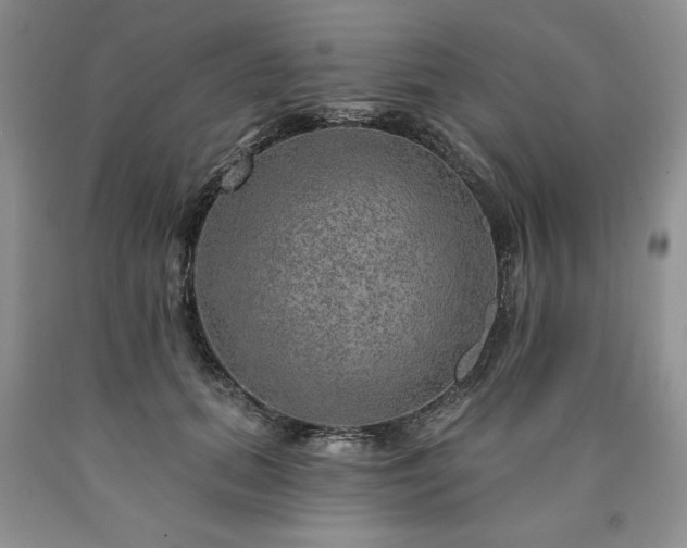 X0000090440655200707201254