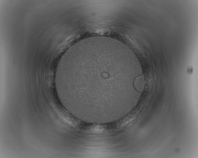 X0000090440656200707201254