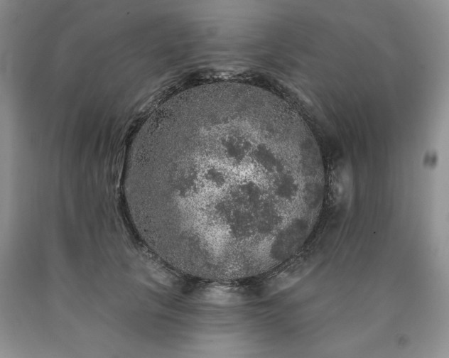 X0000090440657200707201254