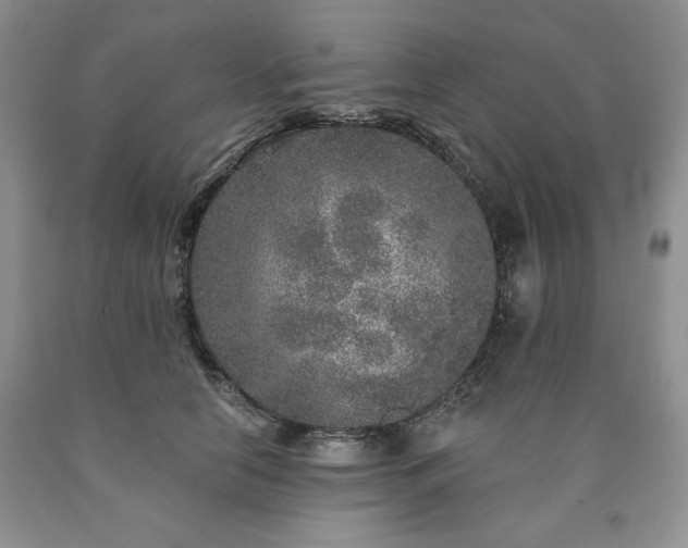 X0000090440658200707201254