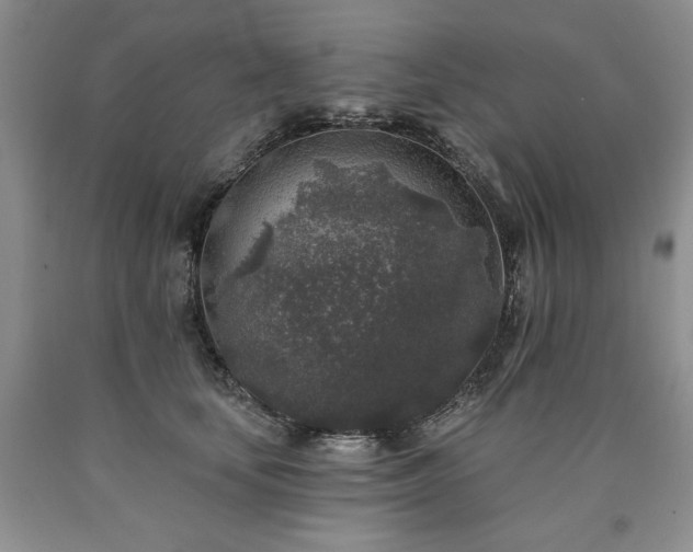 X0000090440659200707201254