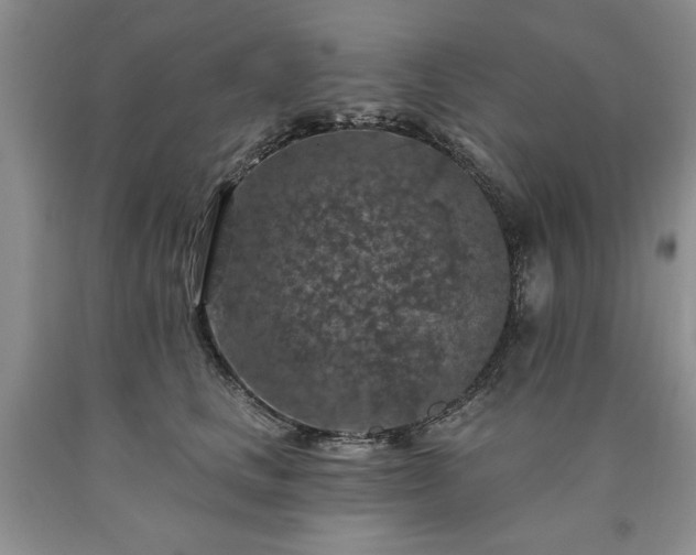 X0000090440661200707201254