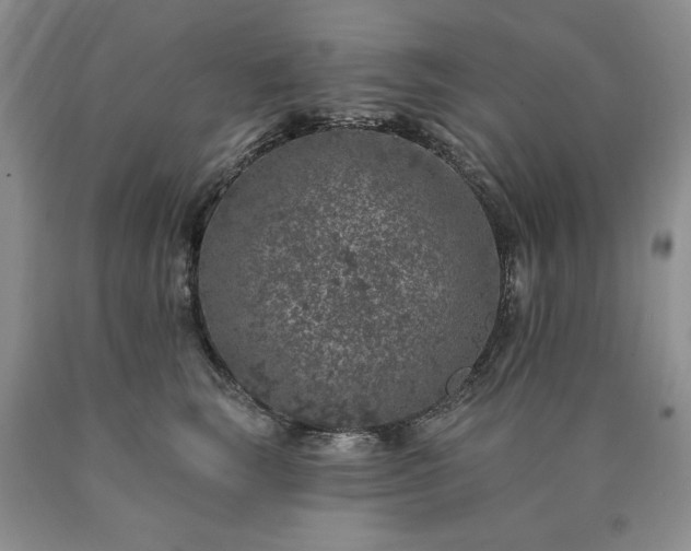 X0000090440663200707201254