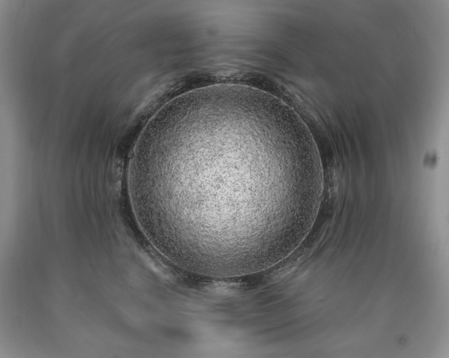 X0000090440664200707201254