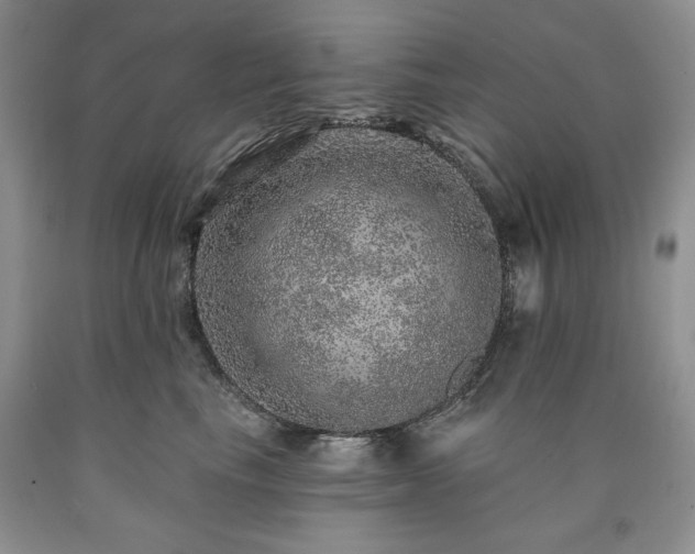 X0000090440665200707201254