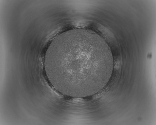 X0000090440666200707201254