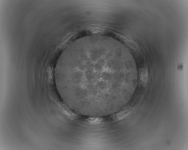 X0000090440667200707201254