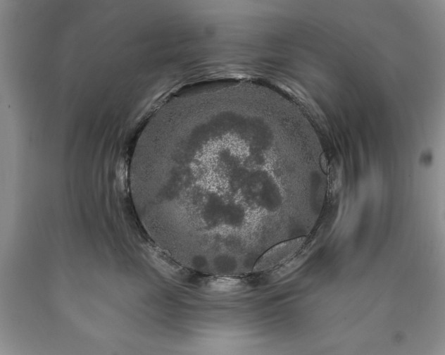 X0000090440669200707201254