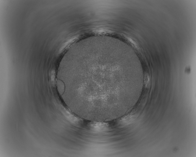 X0000090440670200707201254