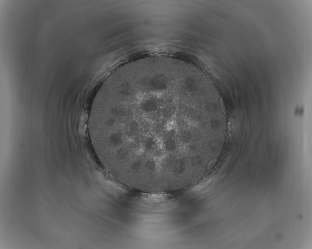 X0000090440671200707201254